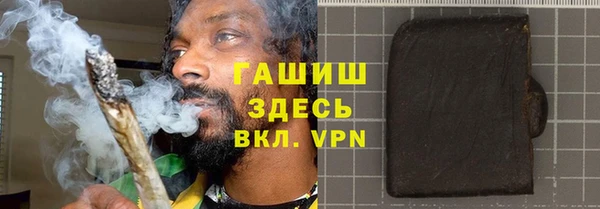 индика Белокуриха
