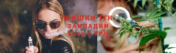 индика Белокуриха