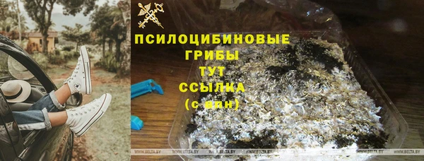 амф Беломорск