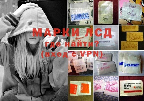индика Белокуриха