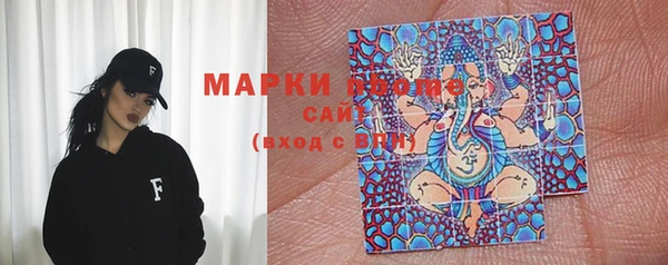 индика Белокуриха