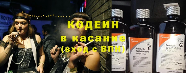 индика Белокуриха