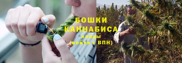 индика Белокуриха